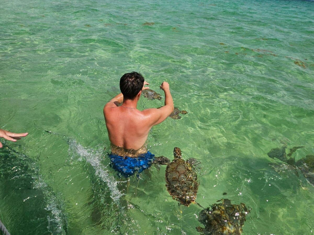 True Blue Charters | Spanish Wells Bahamas Guide-Spanish Wells必去景点