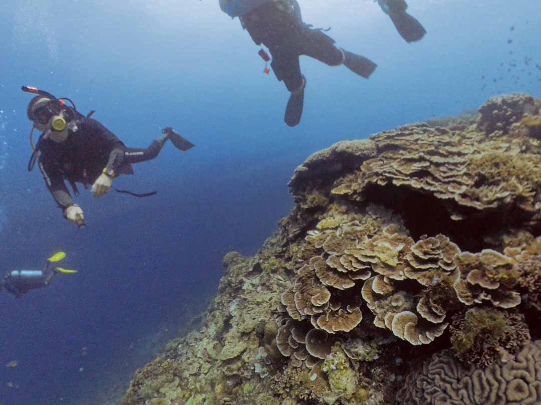 Scotty's Action Sports Network-Panglao必去景点