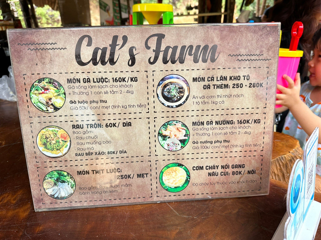 Cat Farm-保禄县必去景点