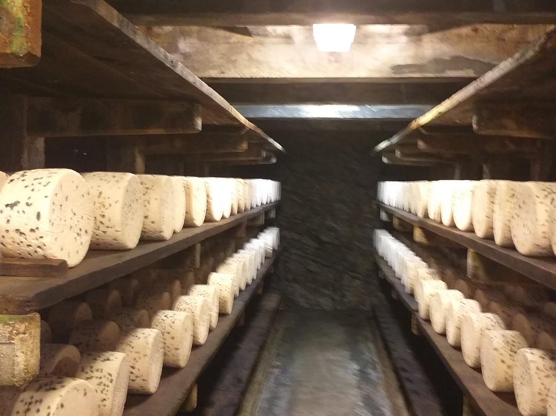 Les Caves de Roquefort-Roquefort Sur Soulzon必去景点