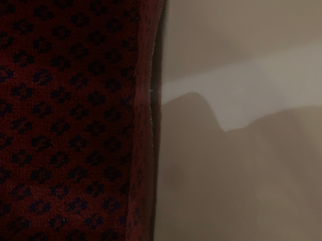 北斯蒂夫尼奇戴斯酒店主图