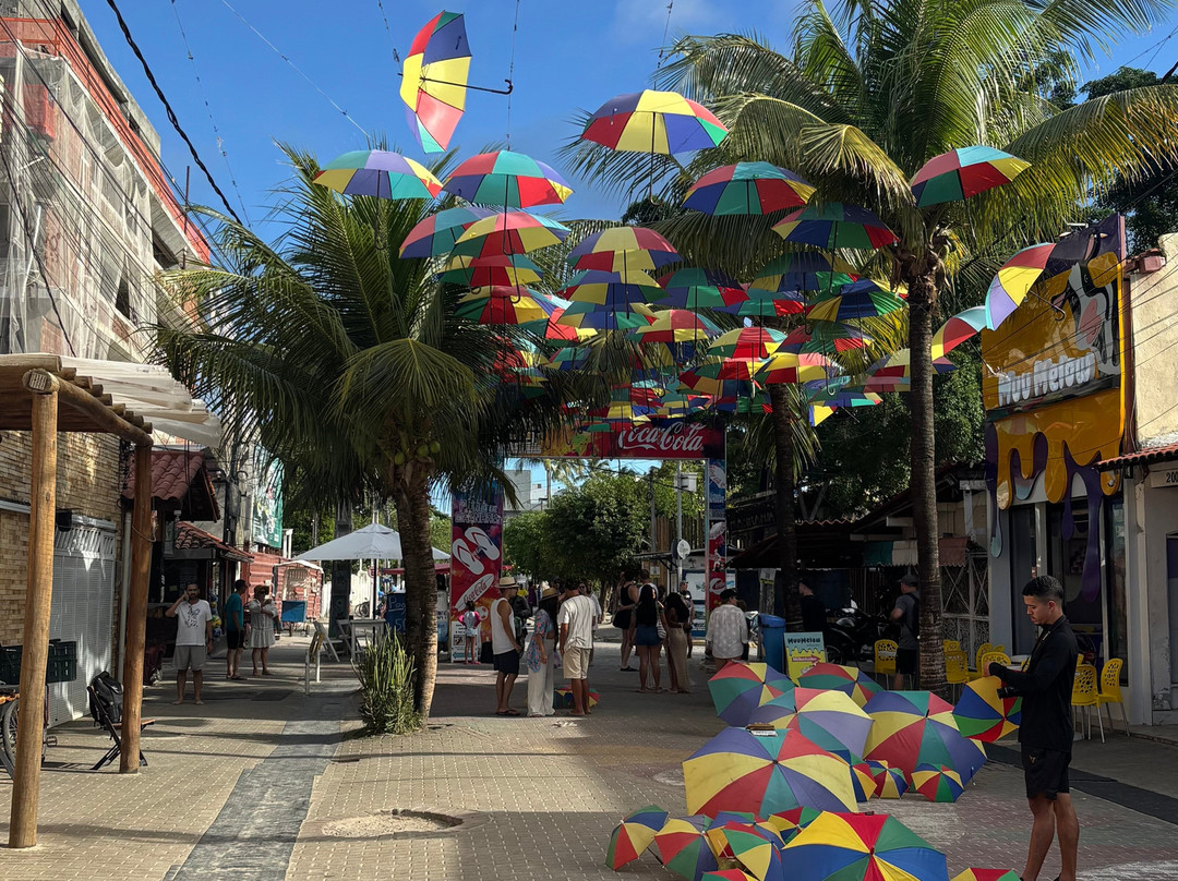 Pontal Tour-伊波茹卡必去景点