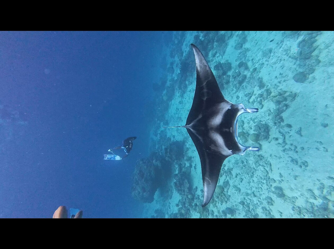 Gaadi Tours-康杜玛岛必去景点