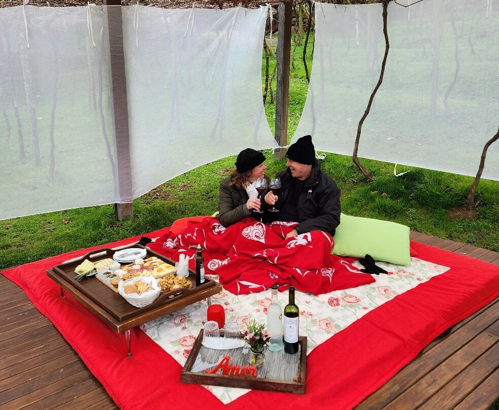 Torrontes Enoturismo-Garibaldi必去景点