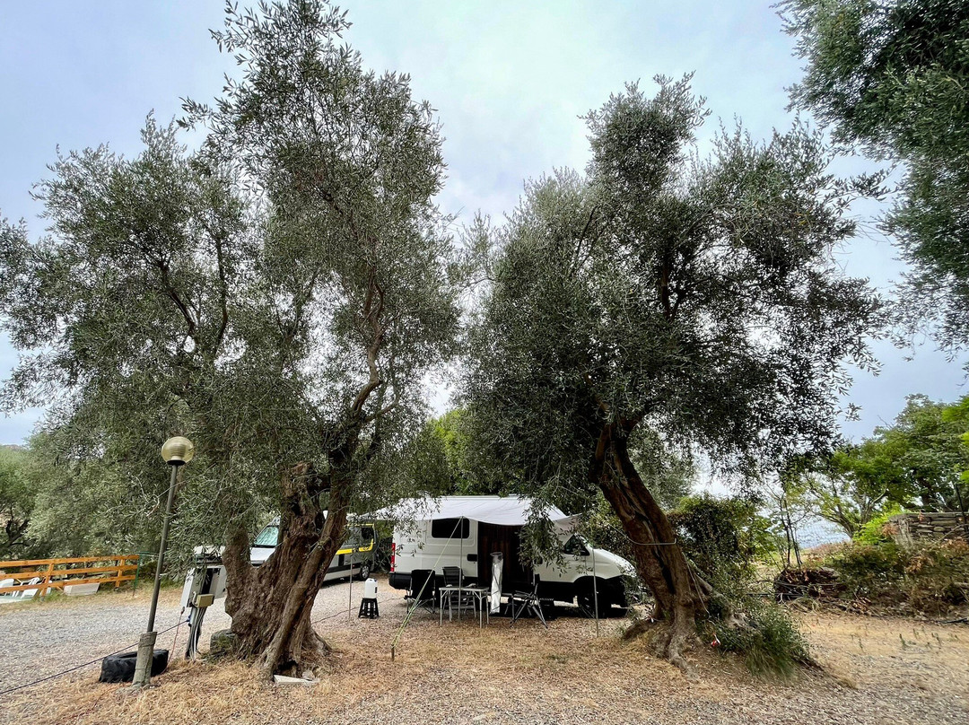 Camping Il Persiano