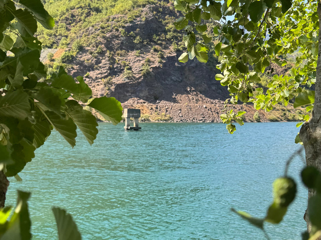 Borealis Guest House主图