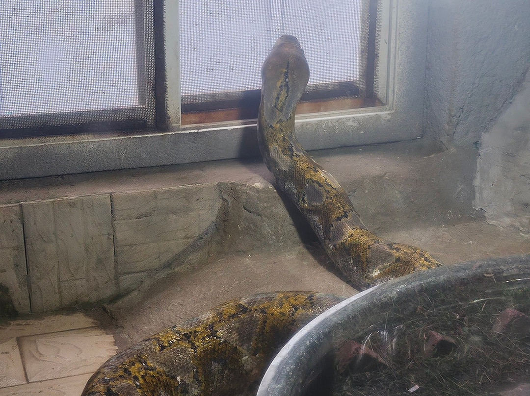 合肥野生动物园-合肥市必去景点