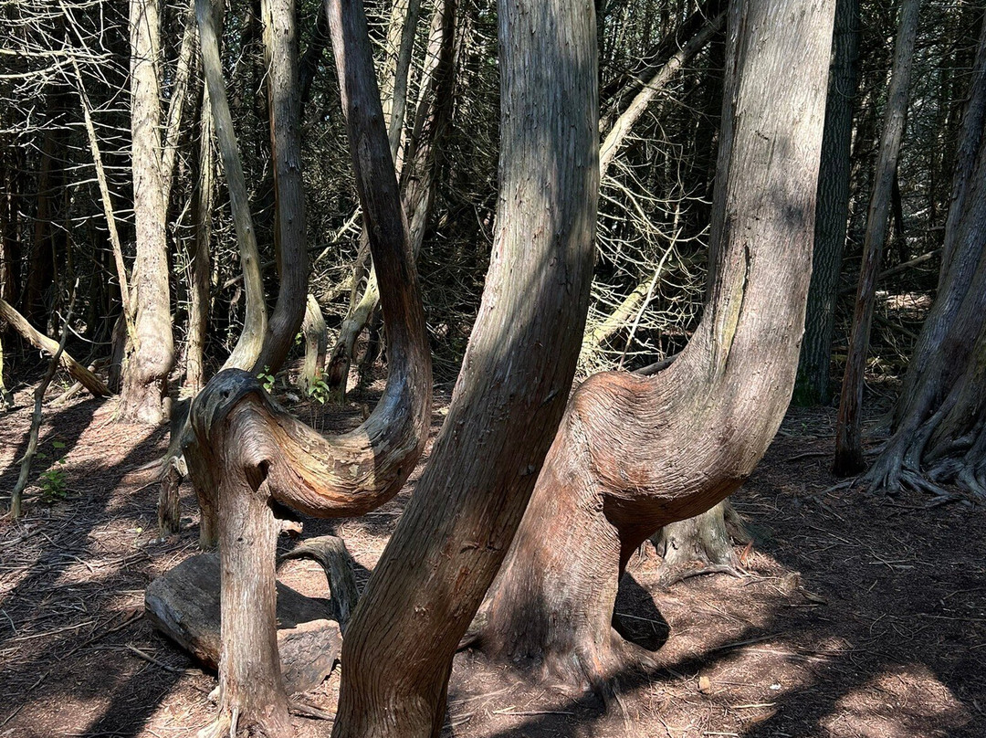 Presqu'ile Provincial Park-Brighton必去景点