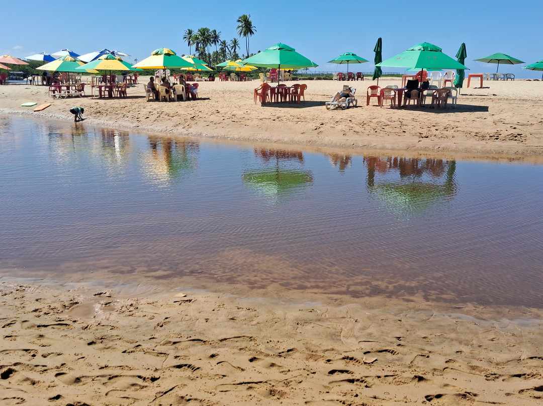 Praia de Itacimirim-Itacimirim必去景点