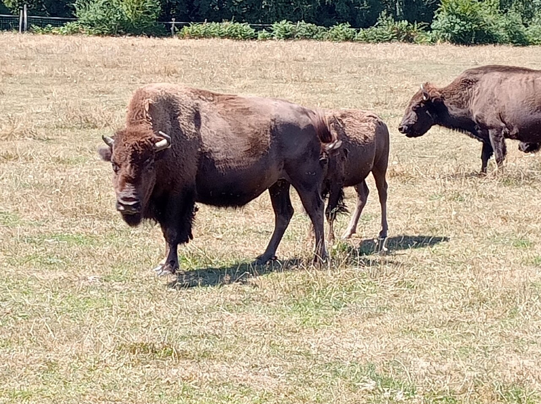 Elevage du Palais-Bourganeuf必去景点