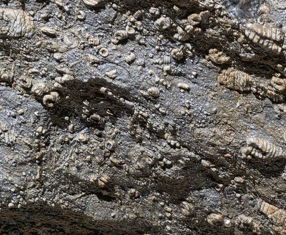 Treak Cliff Cavern-Castleton必去景点