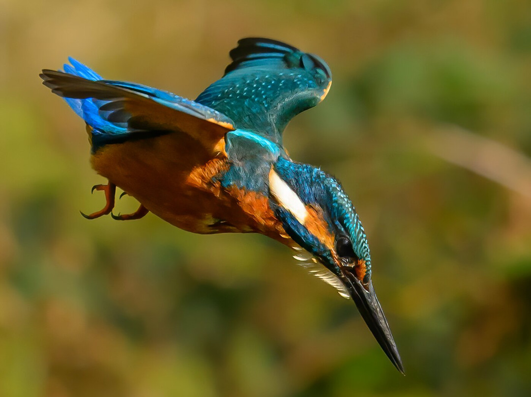 Exmoor Photography Course-迈恩黑德必去景点