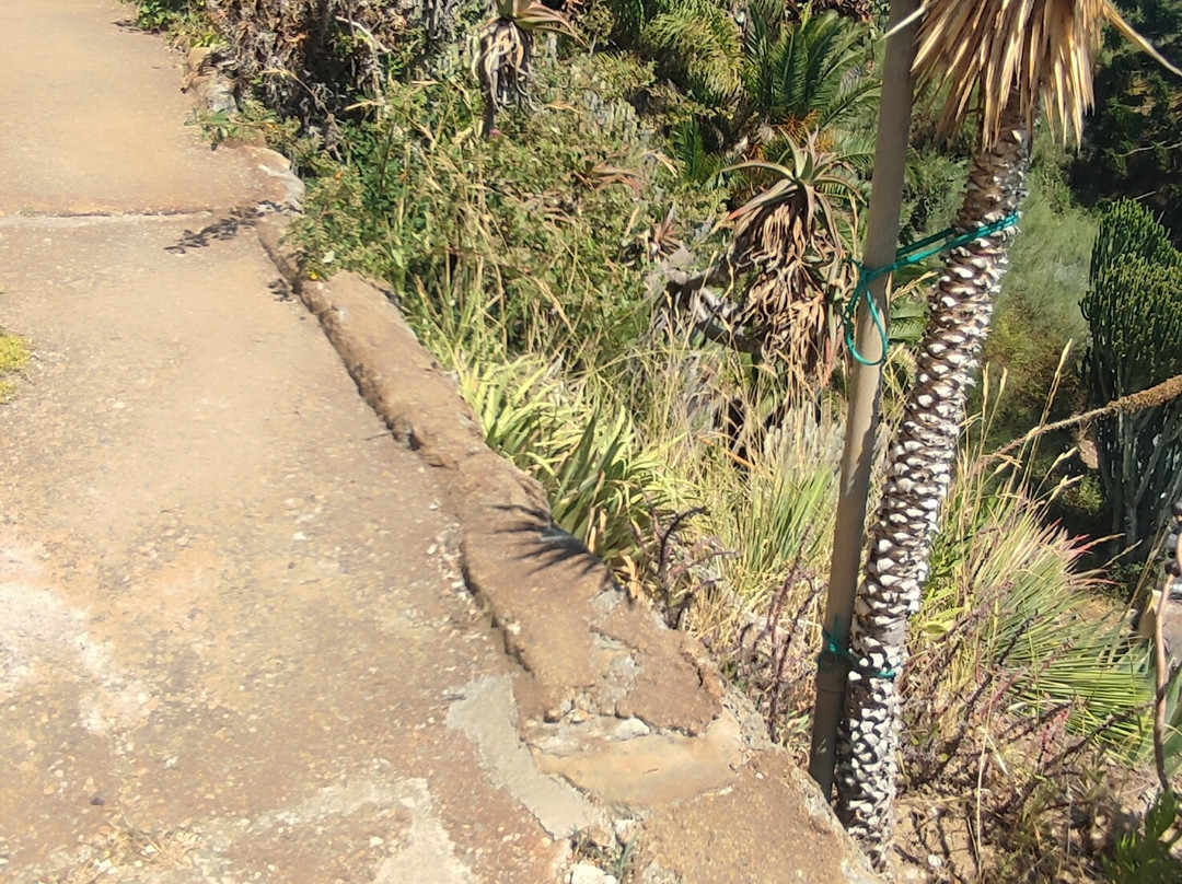 Giardino Esotico Pallanca-博尔迪盖拉必去景点