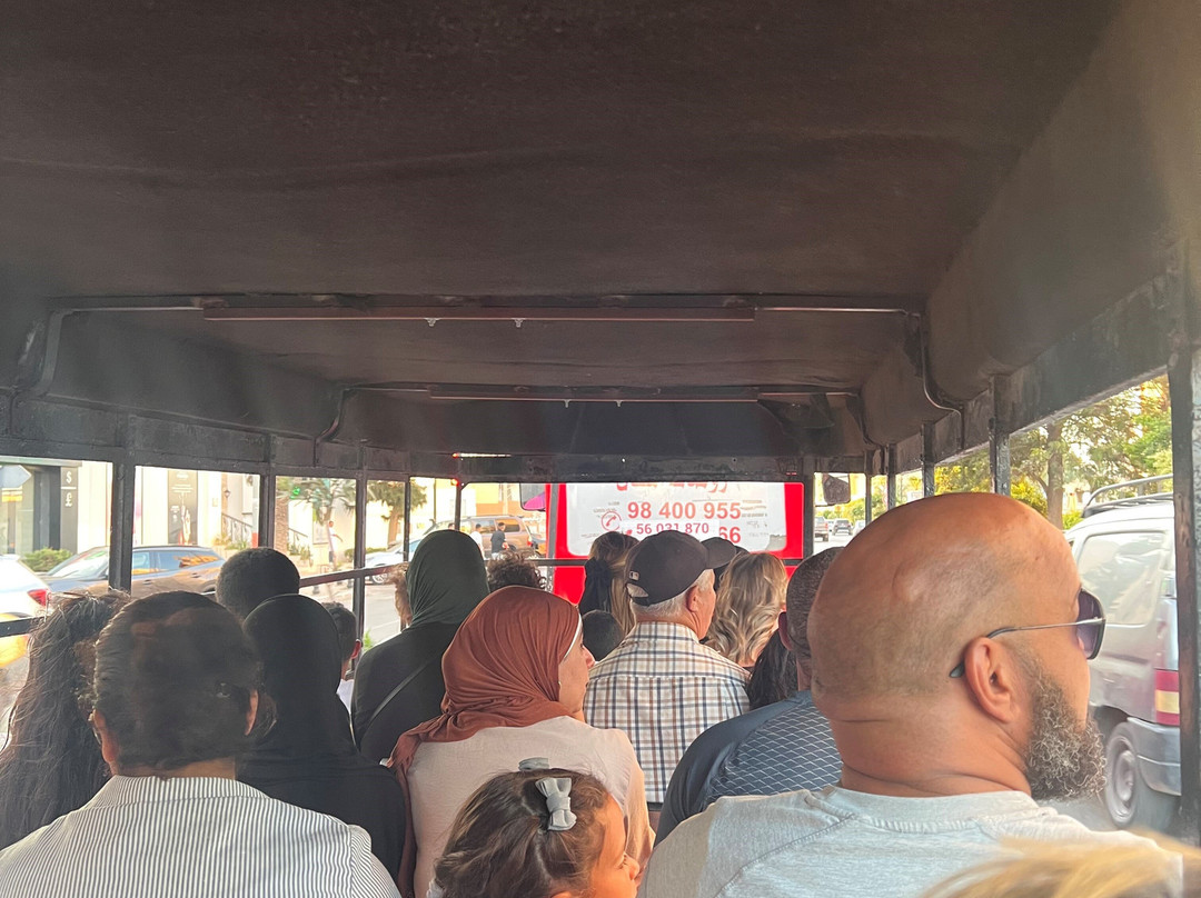 Noddy Train-康大维港必去景点