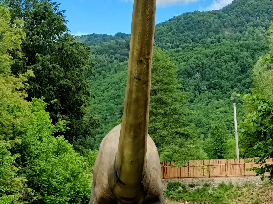 Pensiunea Bucura主图