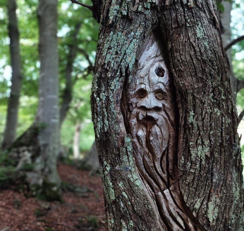 Il Sentiero delle Espressioni-Schignano必去景点