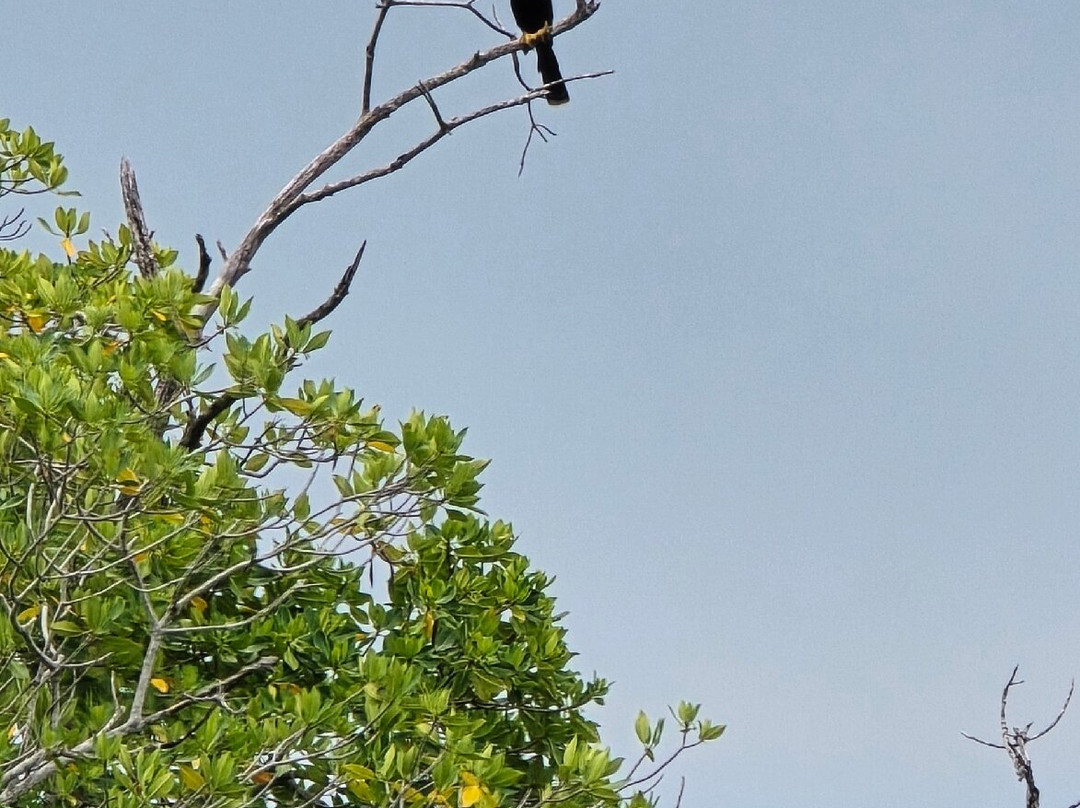 Visit Sian Ka'an-图伦必去景点
