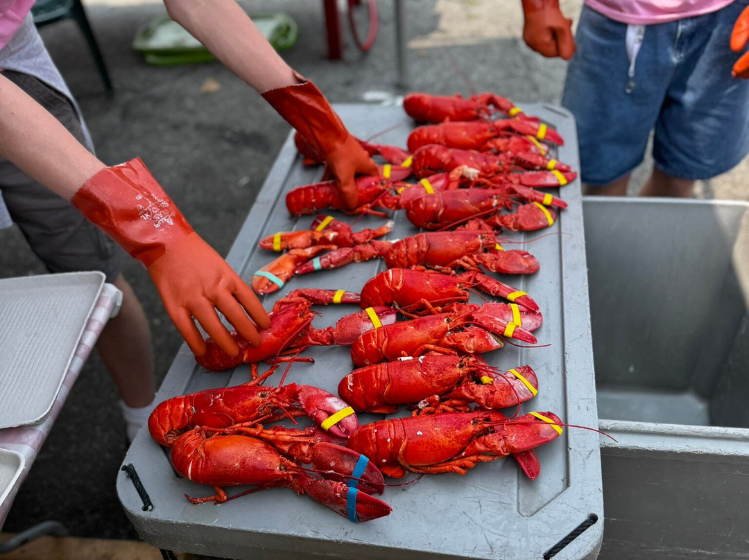 缅因州龙虾节-罗克兰必去景点