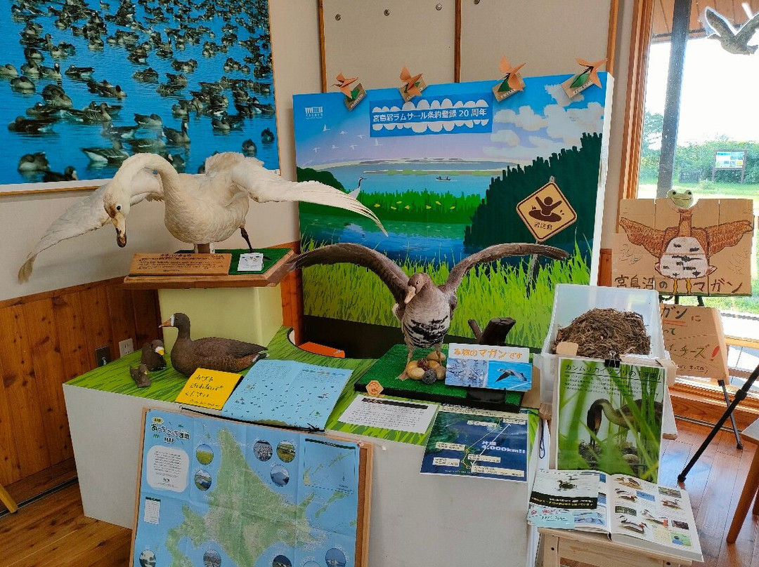 Miyajima Numa Mizutori Shitchi Center-美呗市必去景点