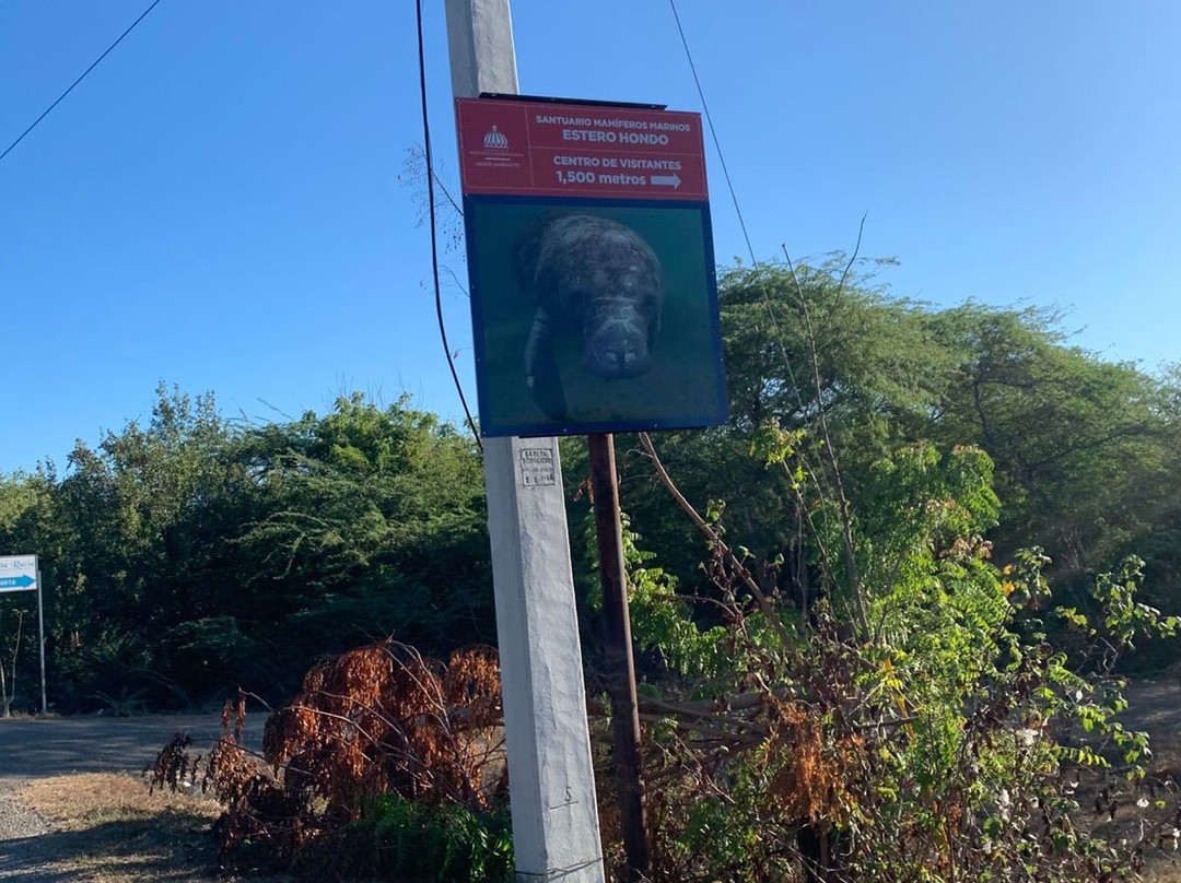 Santuario Mamíferos Marinos De Estero Hondo-Estero Hondo必去景点