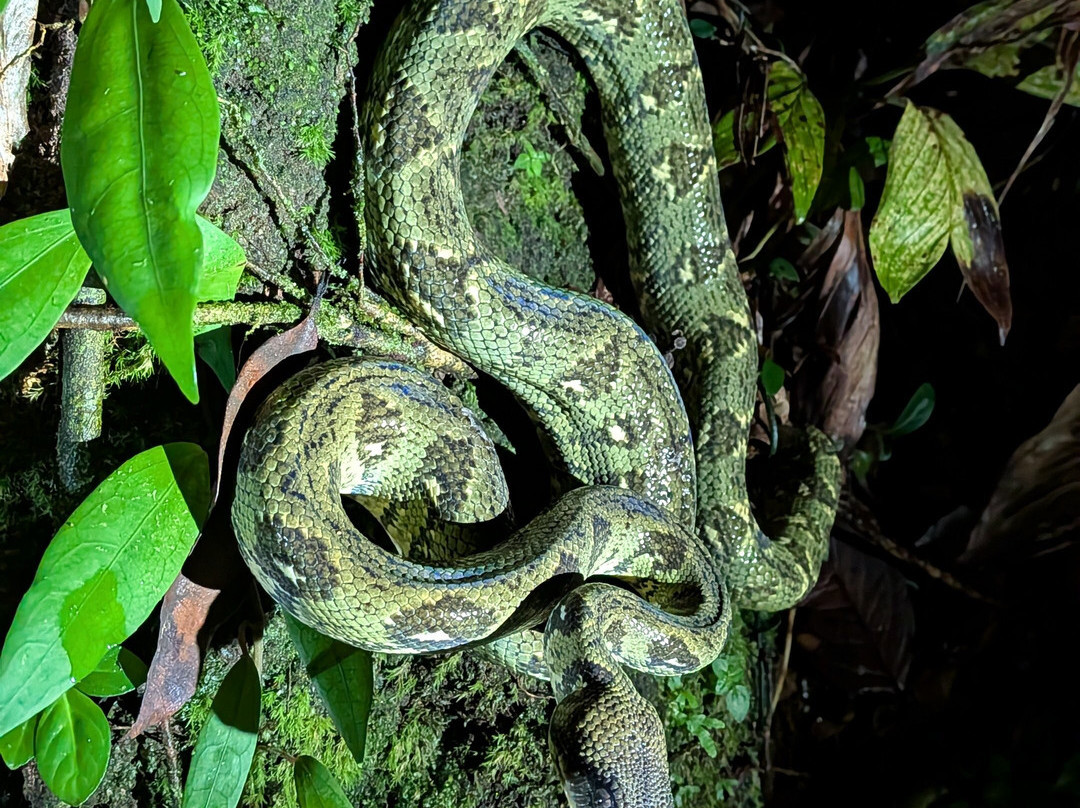 Masoala Travel Guide-Maroantsetra必去景点