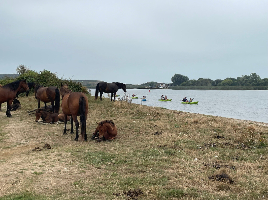 Stanpit Marsh-基督城必去景点