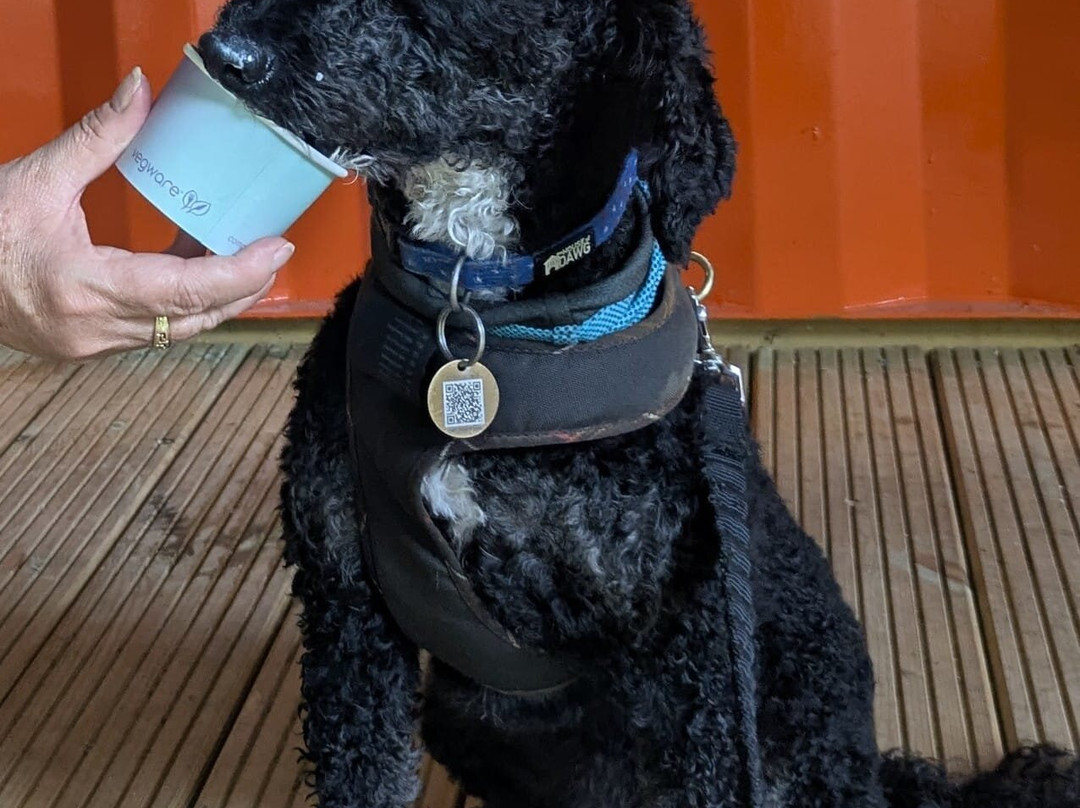 Hangloose Adventure Bluewater-达特福德必去景点