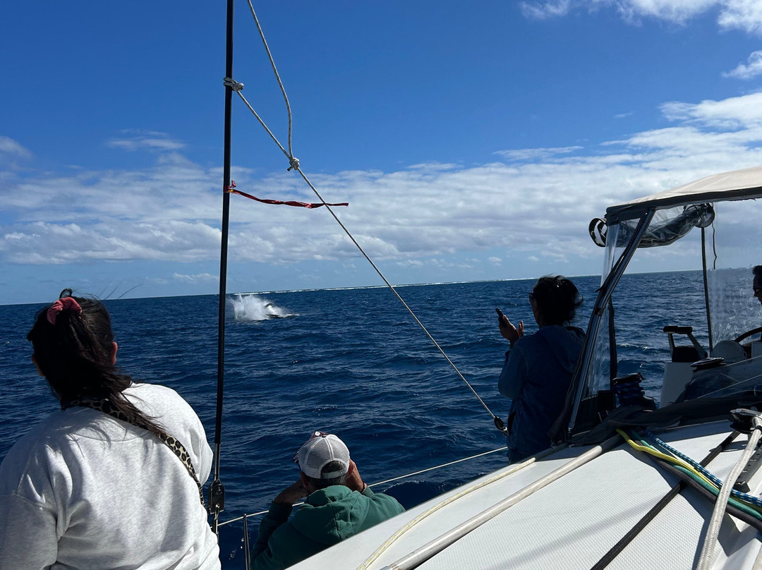 Abaca Croisieres-努美阿必去景点