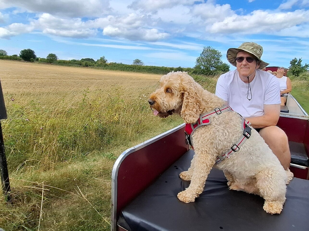 Wells & Walsingham Light Railway-Wells-next-the-Sea必去景点