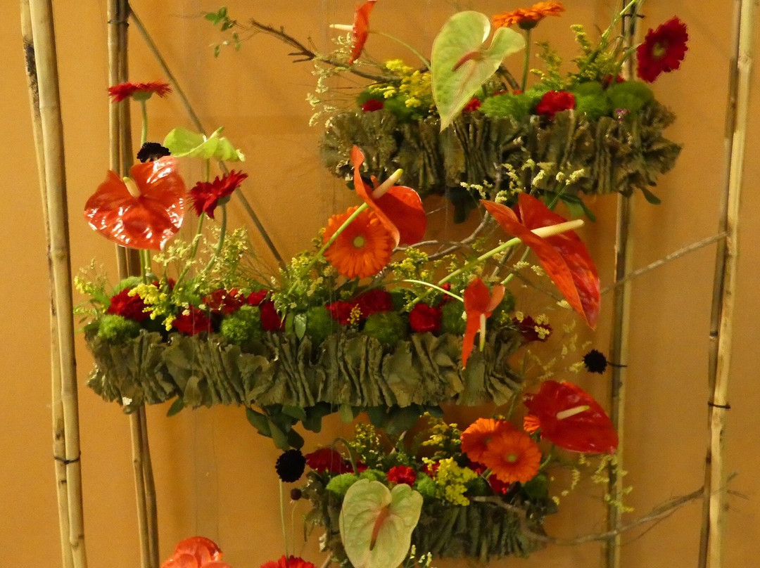 Leverano In Fiore-Leverano必去景点