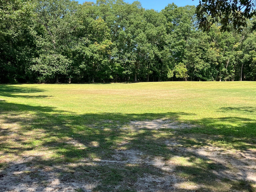 Shark River Park-Wall Township必去景点