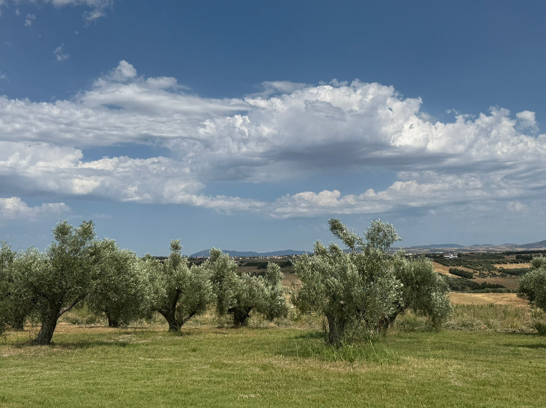 Alpha Lavender-Mesimeri必去景点