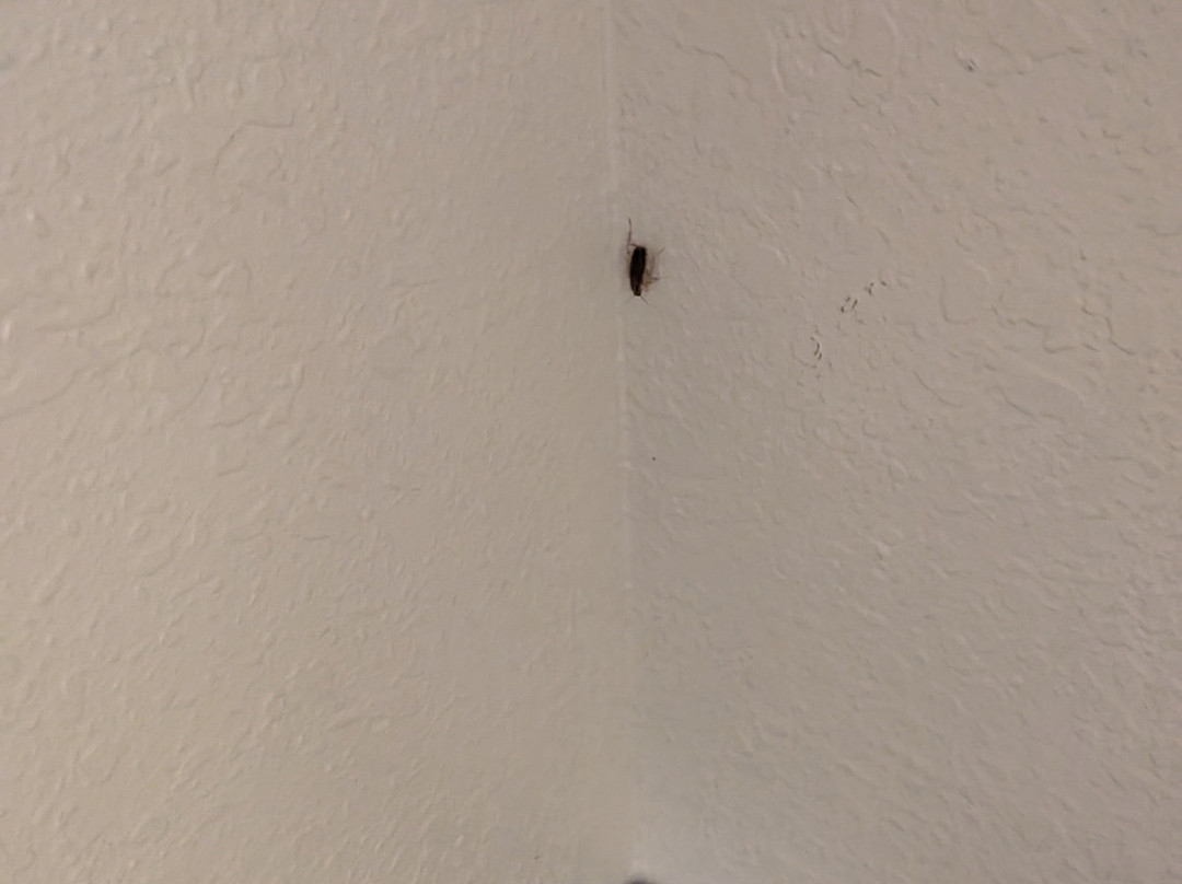 Extended Stay America - Washington, D.C. - Reston主图