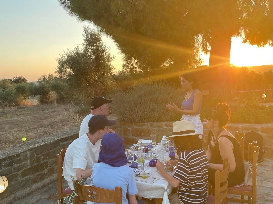 Liokarpos Olive Oil Tasting Experience-Finikounda必去景点