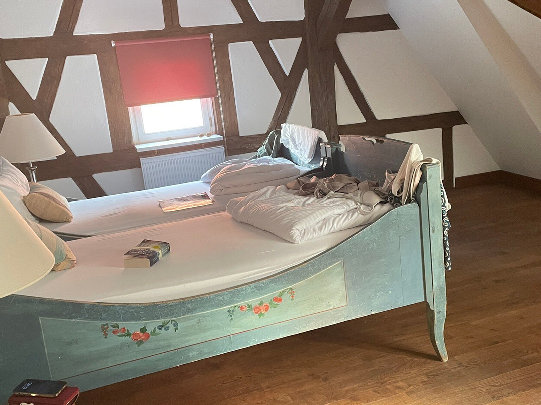 Altstadthotel Molitor主图