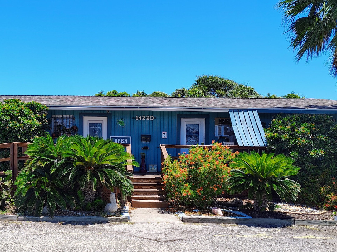 Texas Sealife Center-科珀斯克里斯蒂市必去景点