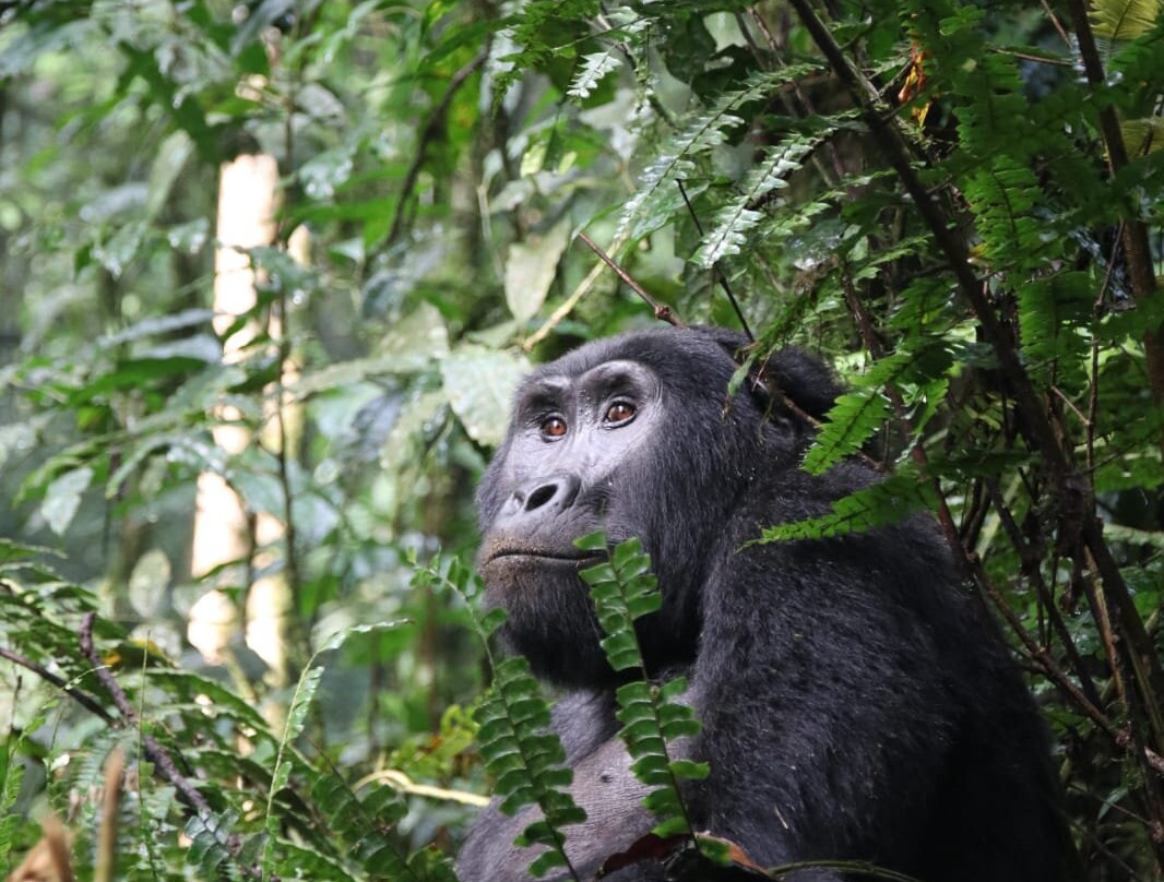 My Trip 2 Africa-Mbarara必去景点