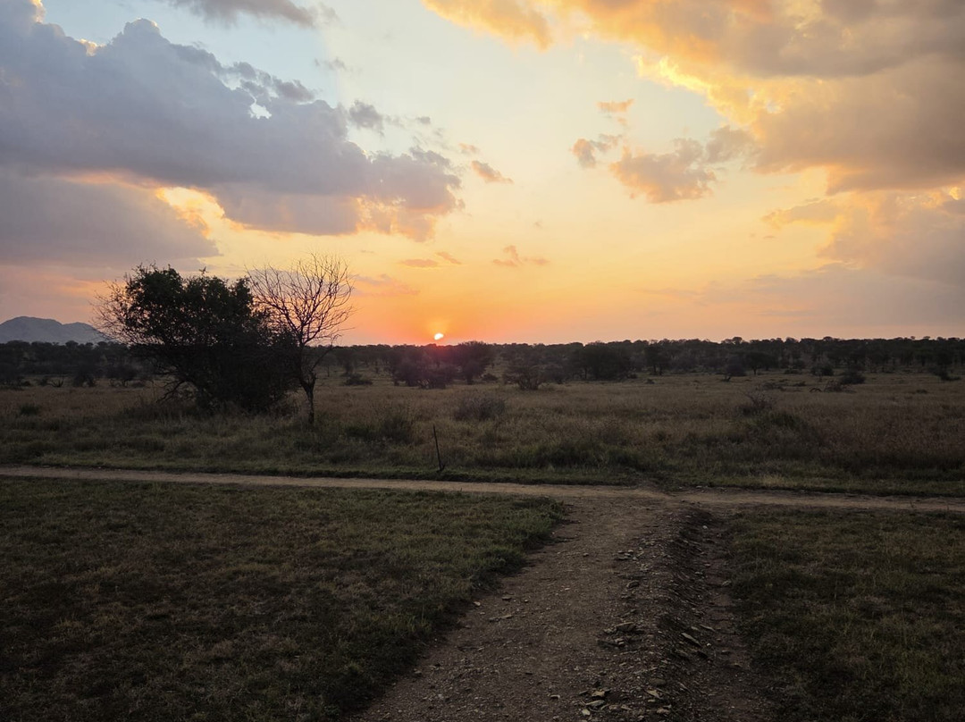 Termite Tour Travel-阿鲁沙必去景点