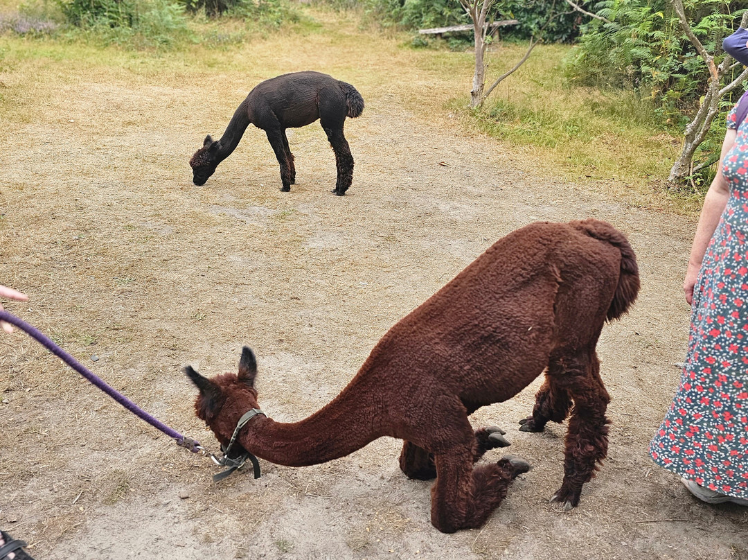 Reuthe's The Lost Gardens Of Sevenoaks-Sevenoaks必去景点