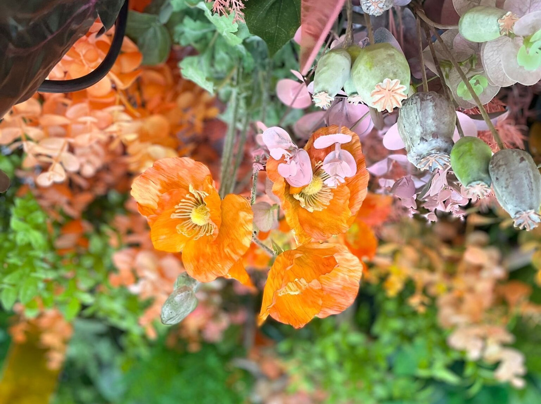 Cable Car Across Gaya-锡古尔达必去景点