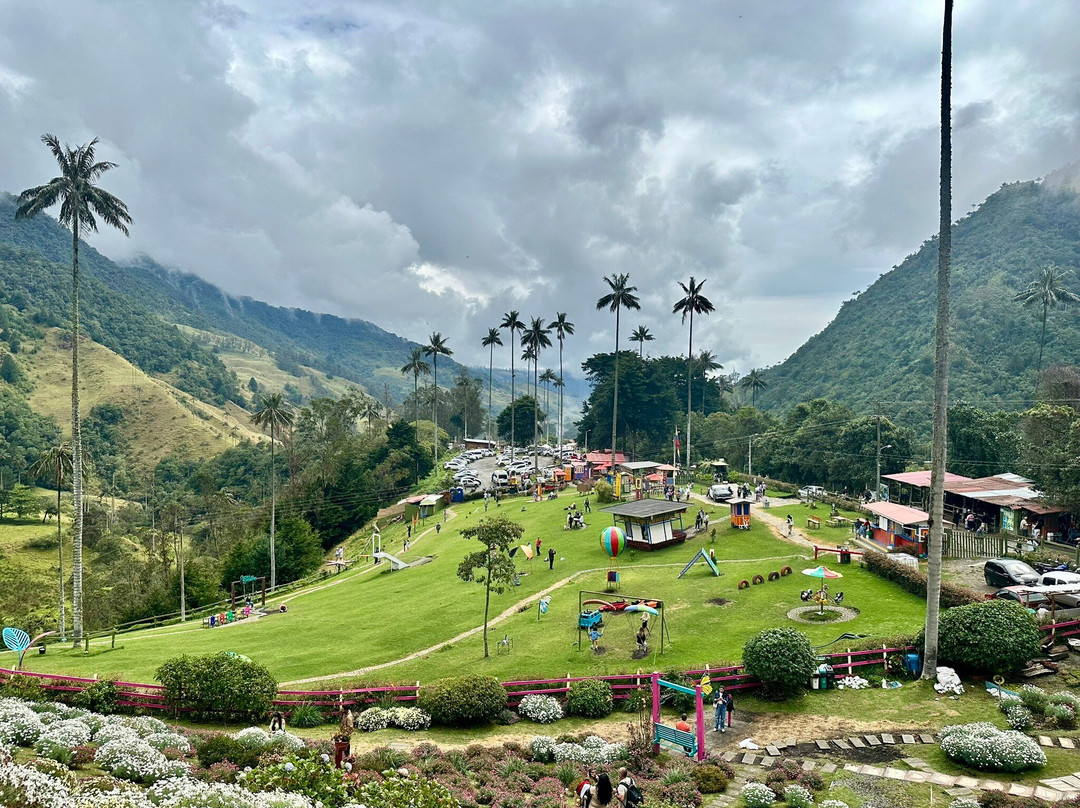 Bosques de Cocora-萨伦托必去景点
