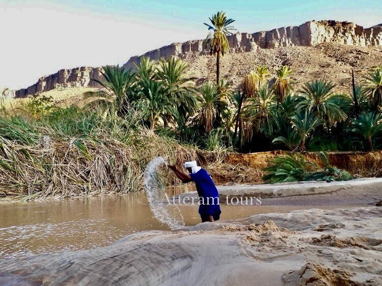 Tassili N'Ajjer National Park