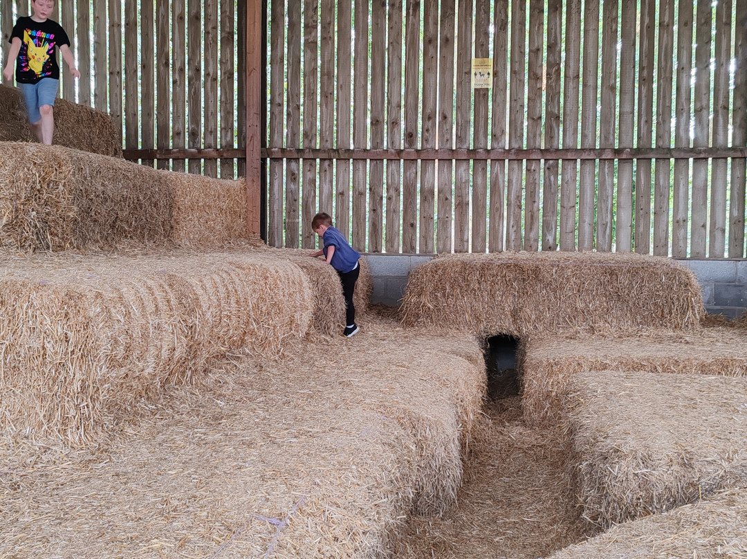 Playdale Farm Park-斯卡伯勒必去景点