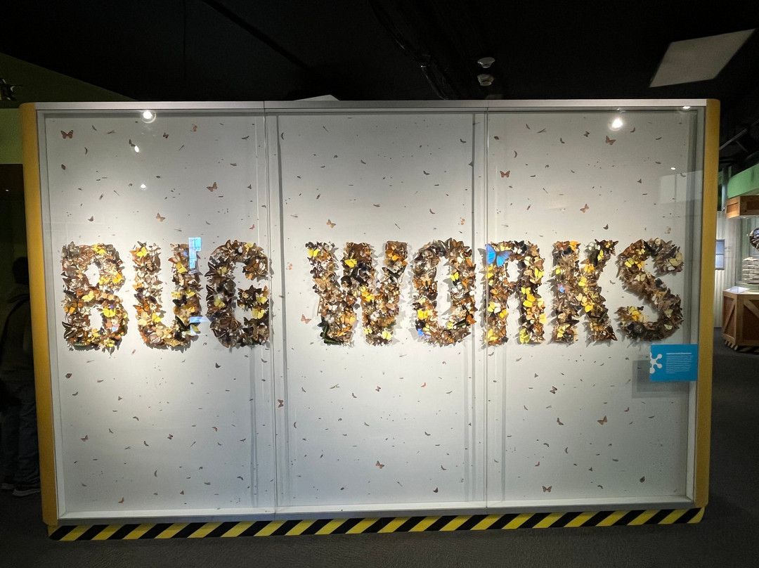 Buffalo Museum of Science-水牛城必去景点