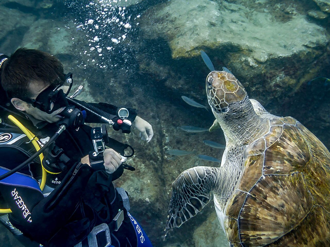 Aquarius Dive Center-阿罗纳必去景点