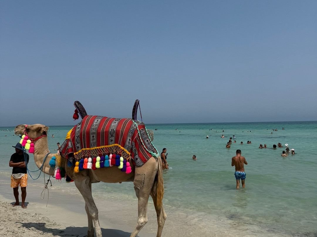 Bateau Pirate Elyssa Djerba-Houmt Souk必去景点