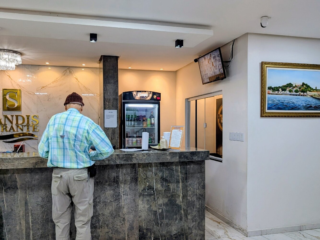 Hotel Sandis Mirante主图