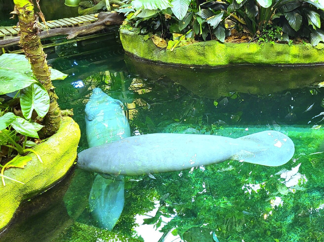 Odense Zoo-欧登塞必去景点