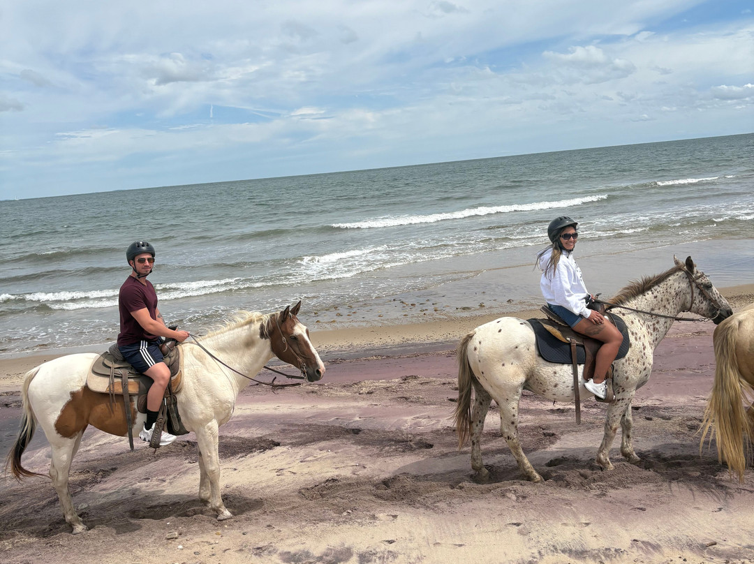 Deep Hollow Ranch-蒙托克必去景点