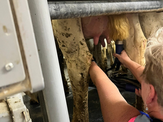 Berning Acres-East Dubuque必去景点